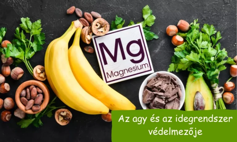 magnézium agy idegrendszer