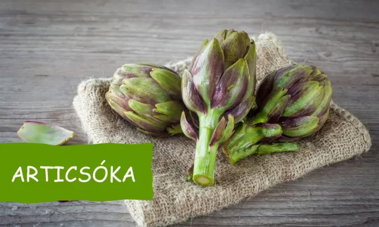 articsóka, articsóka mire jó