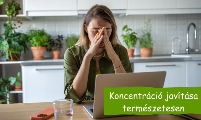 koncentráció javítása